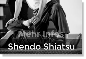 Shendo Shiatsu Mehr Infos